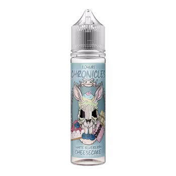 KOYUKI CHRONICLES - WHITE BLUEBERRY CHEESECAKE
