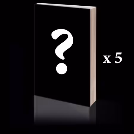 5 stk av Det som ikke sies