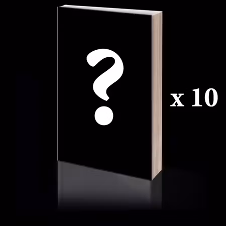 10 stk av Det som ikke sies