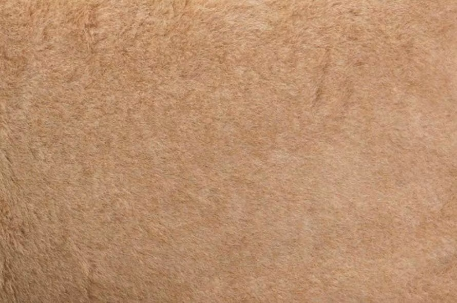 Kamelull - Må Väl Produkter