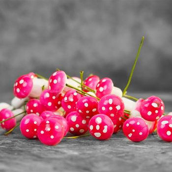 Konstgjorda svampar Rosa