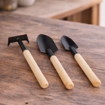 Mini verktygskit för inomhus trädgård