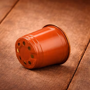 Innerkruka för plantering – 9 st