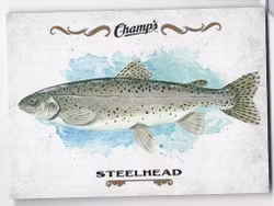 2015-16 Upper Deck Champ's Fish #F3 Steelhead (10-X118-OTHERS)