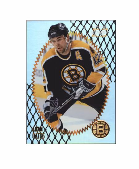 1996-97 Summit Premium Stock #15 Adam Oates (10-X165-BRUINS)