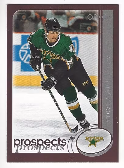 2002-03 O-Pee-Chee #275 Steve Gainey (10-230x9-NHLSTARS)