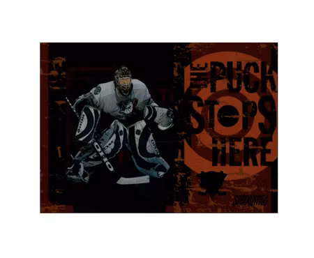 2002-03 Stadium Club Puck Stops Here #PSH15 Jean-Sebastien Giguere (10-X257-DUCKS)