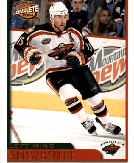 2003-04 Pacific Complete #278 Andrew Brunette (5-X61-NHLWILD)