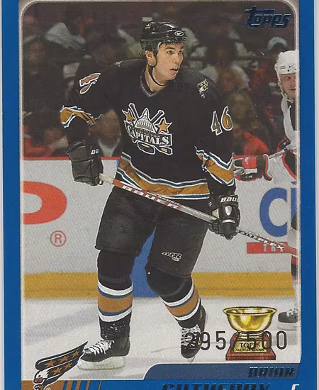 2003-04 Topps Blue #17 Brian Sutherby (10-X37-CAPITALS)