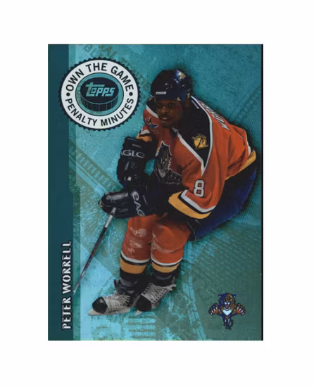2003-04 Topps Own the Game #OTG20 Peter Worrell (10-X190-NHLPANTHERS)