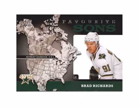 2008-09 Upper Deck Favourite Sons #FS2 Brad Richards (10-X128-NHLSTARS)