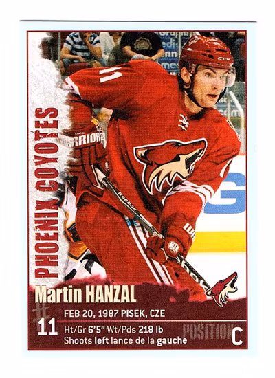 2009-10 Panini Stickers #276 Martin Hanzal (5-S1446-COYOTES)