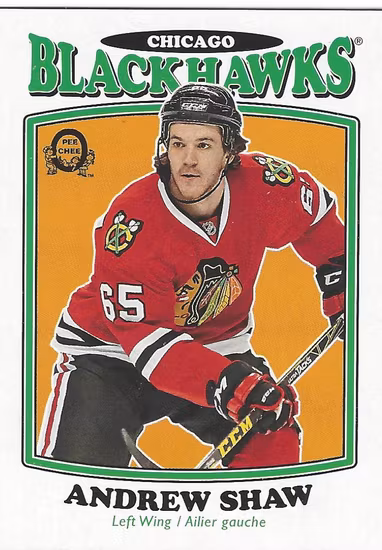 2016-17 O-Pee-Chee Retro #6 Andrew Shaw (15-X45-BLACKHAWKS)