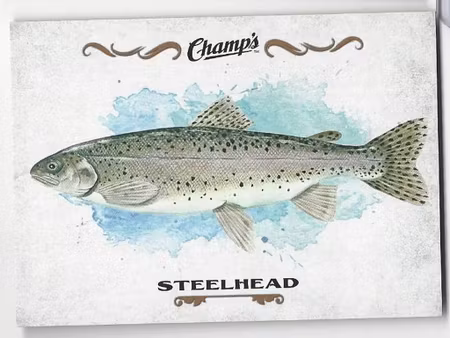 2015-16 Upper Deck Champ's Fish #F3 Steelhead (10-267x1-OTHERS)