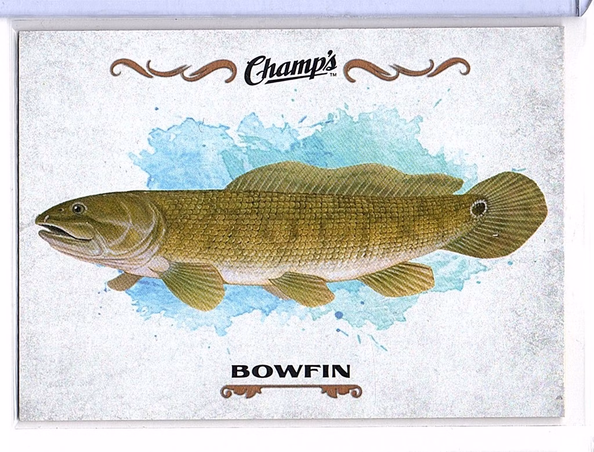 2015-16 Upper Deck Champ's Fish #F4 Bowfin (10-X104-OTHERS)