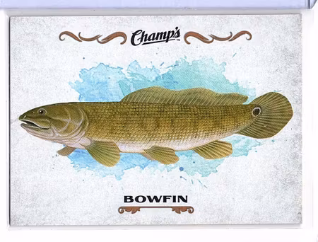 2015-16 Upper Deck Champ's Fish #F4 Bowfin (10-X104-OTHERS)