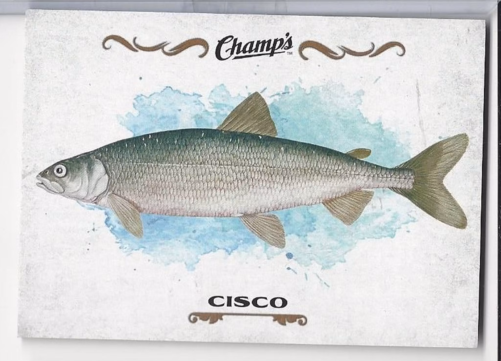 2015-16 Upper Deck Champ's Fish #F11 Cisco (10-X118-OTHERS)