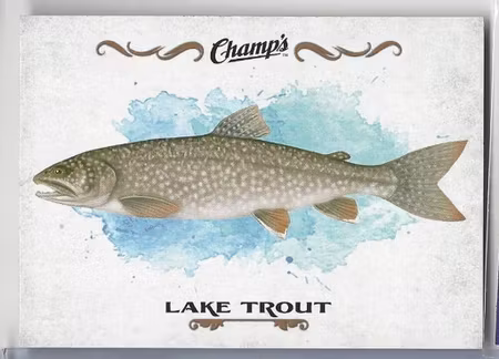 2015-16 Upper Deck Champ's Fish #F14 Lake Trout (10-X118-OTHERS)