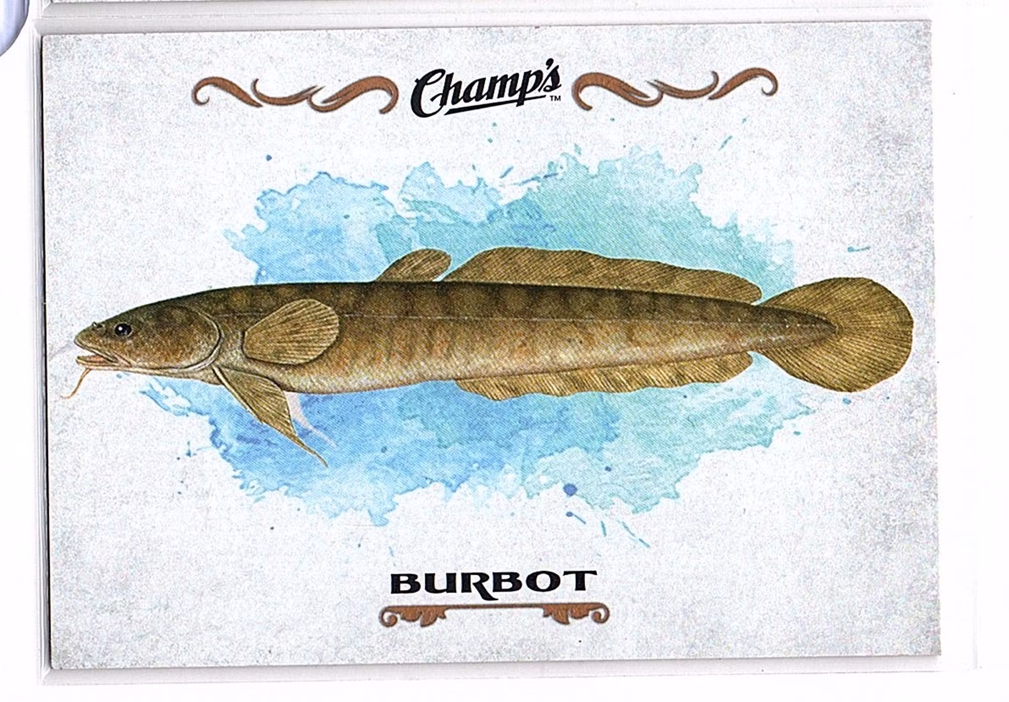 2015-16 Upper Deck Champ's Fish #F15 Burbot (10-X83-OTHERS)