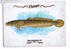 2015-16 Upper Deck Champ's Fish #F15 Burbot (10-X83-OTHERS)