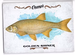 2015-16 Upper Deck Champ's Fish #F27 Golden Shiner (10-X13-OTHERS)