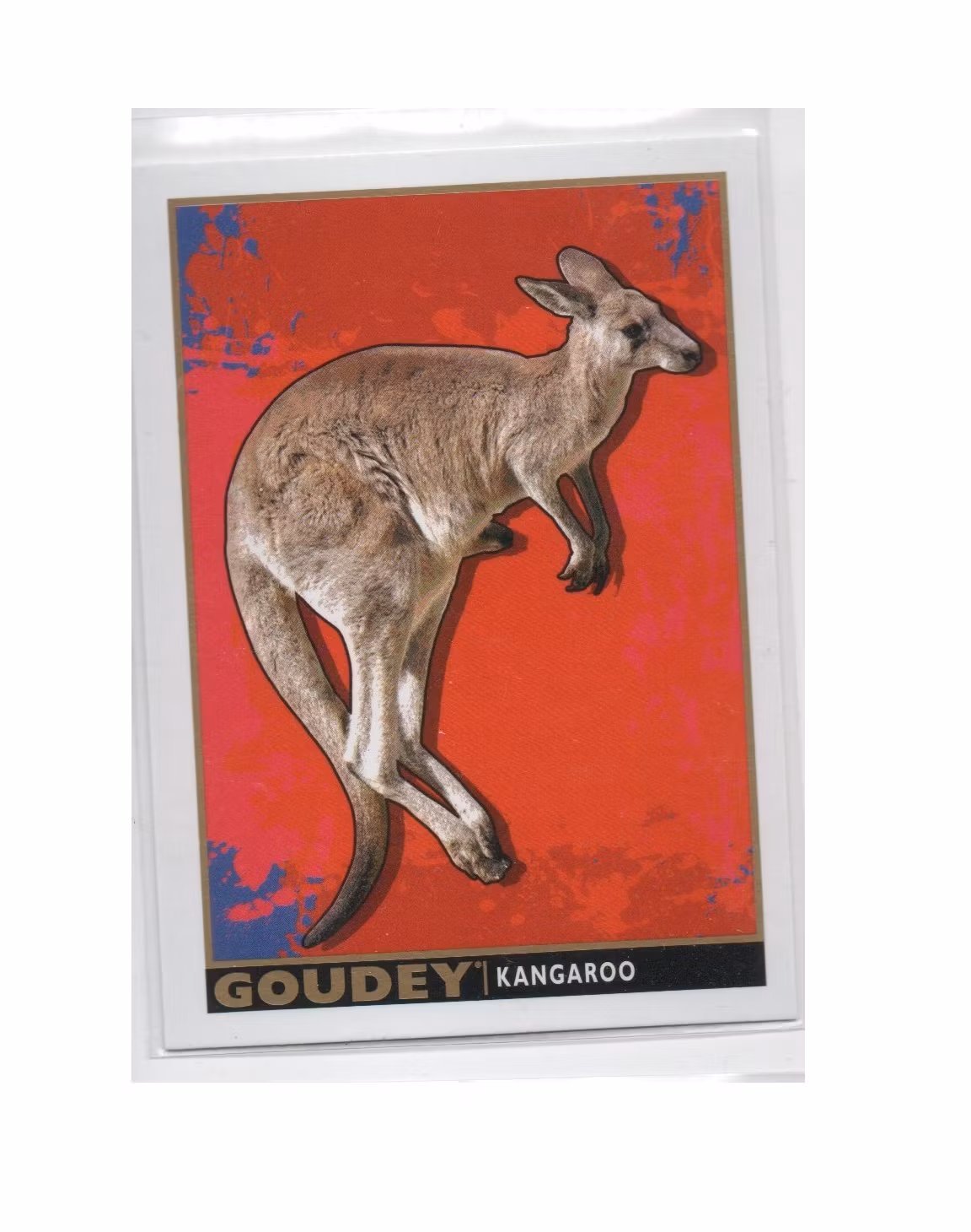 2017 Upper Deck Goodwin Champions Goudey Animals #GA6 Kangaroo (10-X141-OTHERS)
