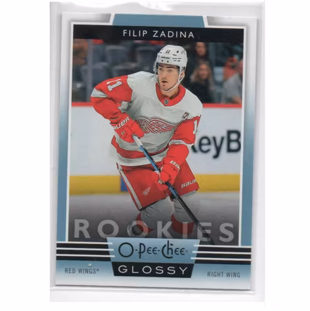 2019-20 O-Pee-Chee Glossy Rookies #R5 Filip Zadina (30-X131-RED WINGS)