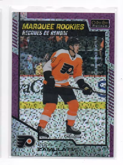 2020-21 O-Pee-Chee Platinum Violet Pixels #170 Egor Zamula (25-X320-FLYERS)
