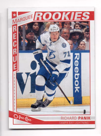 2013-14 O-Pee-Chee #577 Richard Panik RC (12-X346-LIGHTNING)