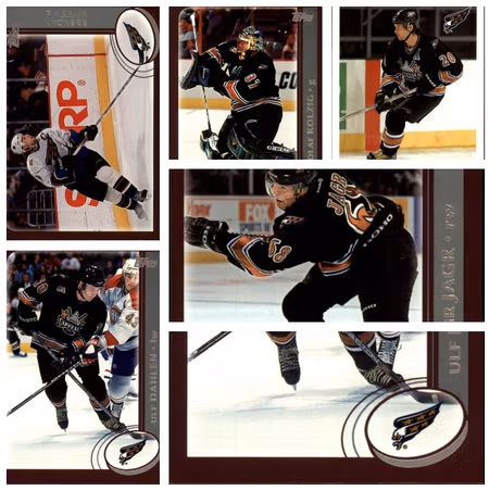 2002­-03 TOPPS TOTAL  WASHINGTON CAPITALS TEAM SET (12 cards) (30-442x7+442x8+442x9-CAPITALS)