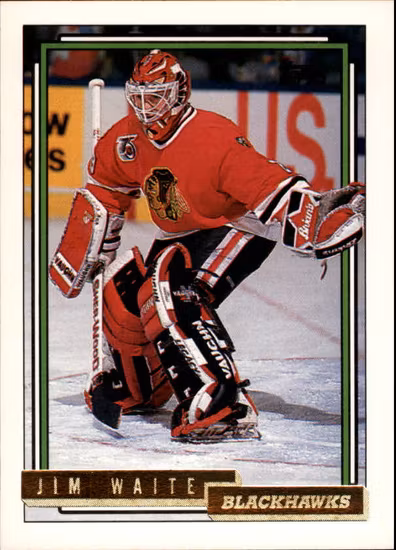 1992-93 Topps Gold #100 Jim Waite (10-B13-BLACKHAWKS)