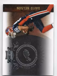 2010 Panini Plates and Patches Silver #123 David Nelson (25-AA6-NFLBILLS)
