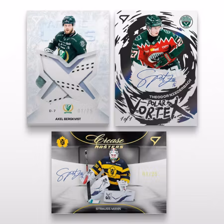 2025-26 Sportzoo SHL Series 1 (Hobby Box)