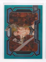 2024 Panini Prizm WWE Prizms Teal #17 Randy Orton (40-HH15-WRESTLING)