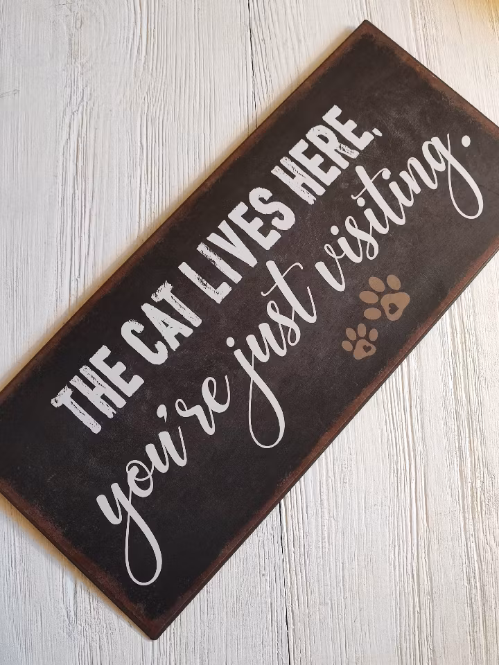 Plåtskylt, "The cat lives......"