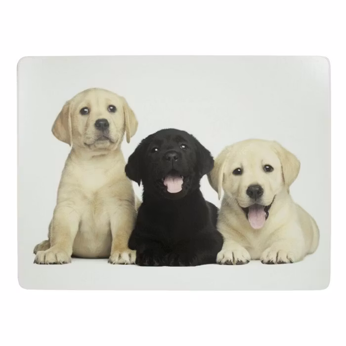 Bordstablett, labrador 4-pack