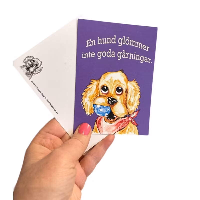 Kort, En hund glömmer aldrig...