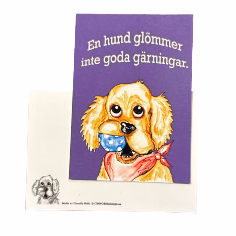 Kort, En hund glömmer aldrig...