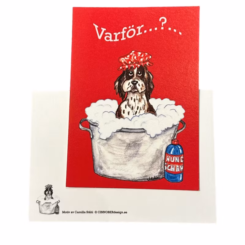 Kort, Varför?...