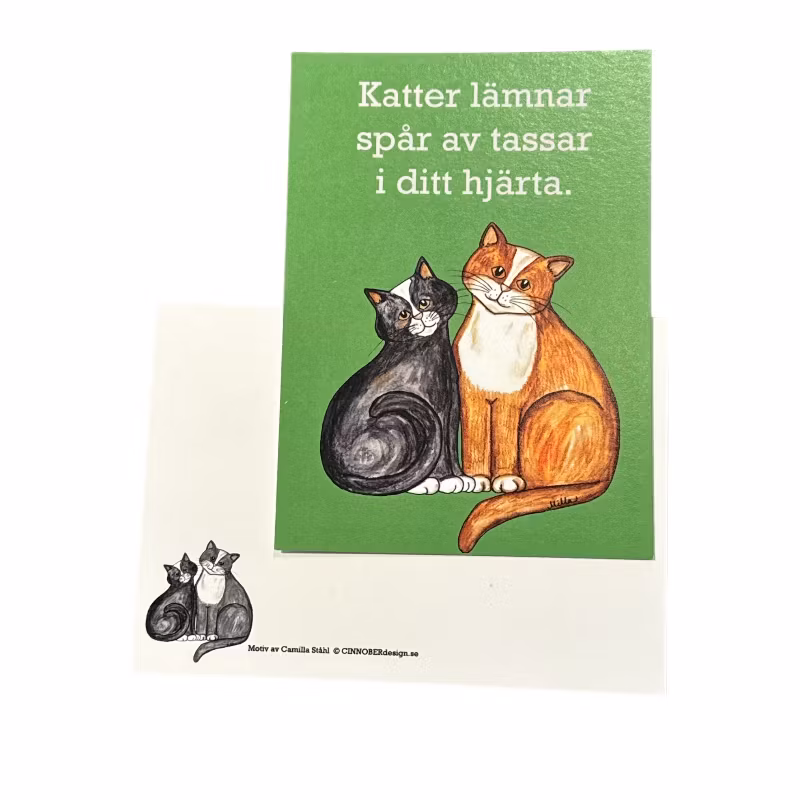 Kort, Katter lämnar spår av...
