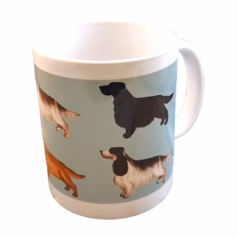 Mugg, cocker spaniel