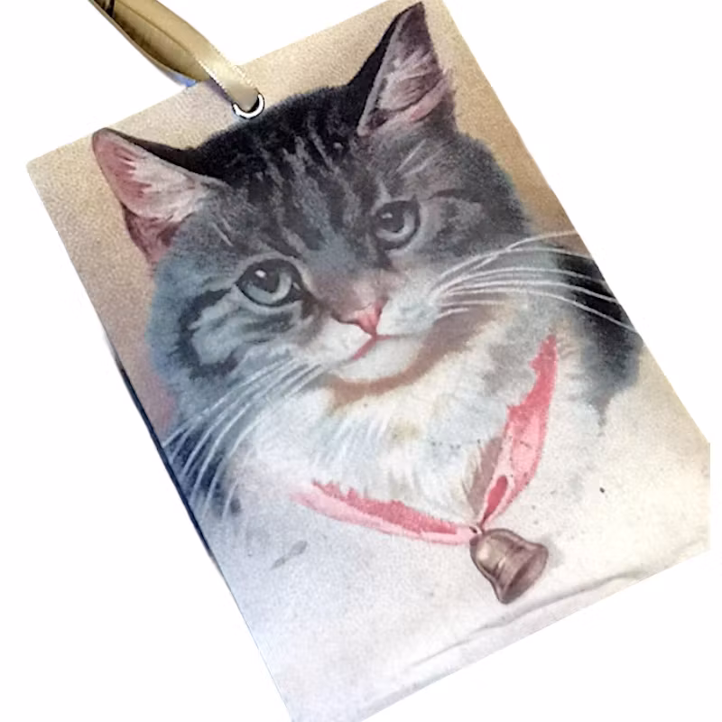 Doftpåse, katt