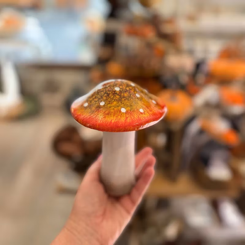 Flugsvamp, orange stor
