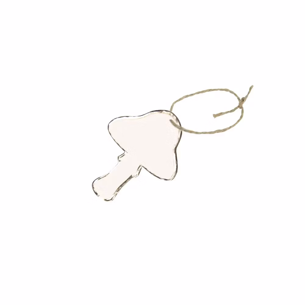 Flugsvamp, paketetikett 10-pack