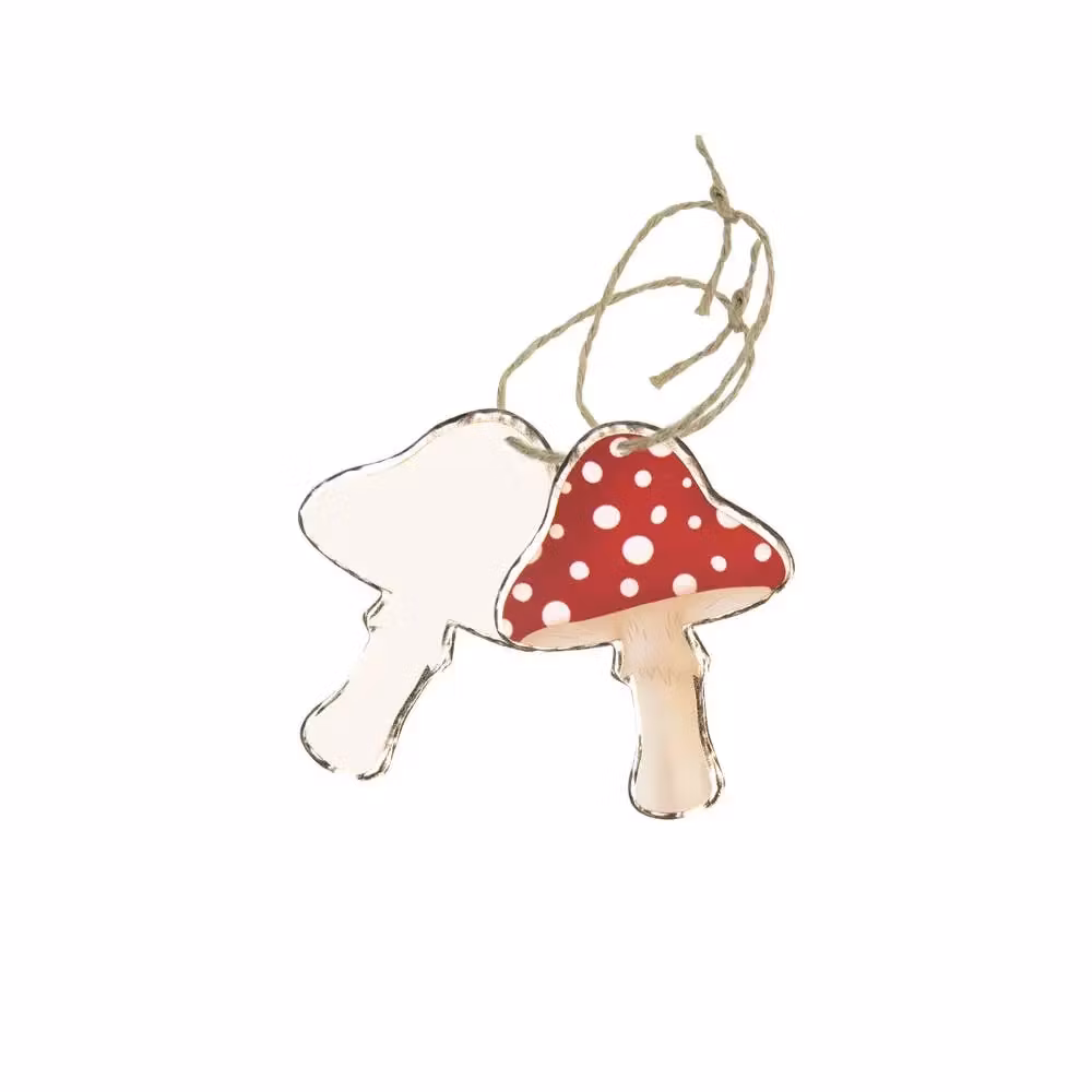 Flugsvamp, paketetikett 10-pack