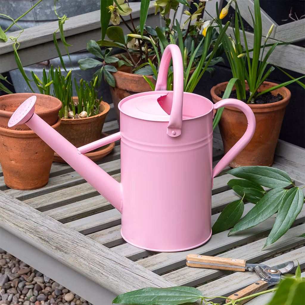 Vattenkanna, rosa 4,5 l