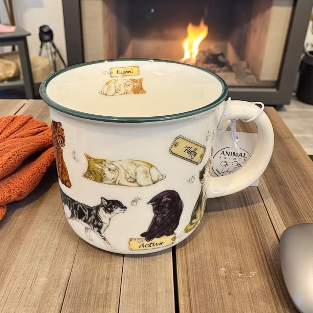 Mugg, katter