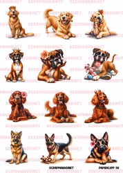 Papirklipp 38 - Golden retriver boxer irsk setter shæfer A4