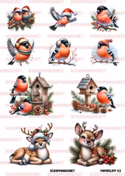 Papirklipp 63 - Dompap og rådyr A4