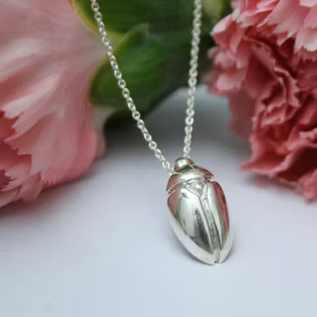 Silverbagge